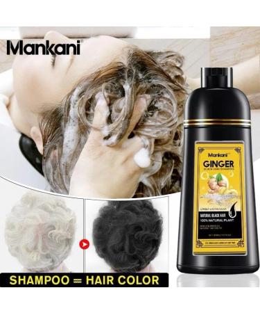 Premium Ginger Black Hair Shampoo - 14.2 fl oz | Longer-Lasting Color & Natural Plant Extracts | International Shipping Available - Buy Online on GoSupps.com