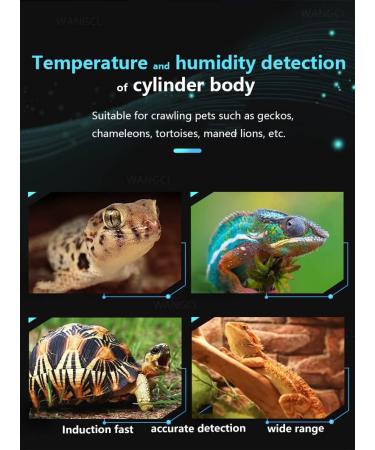 WANGCL Reptile Electronic Hygrometer Thermometer Waterproof Real-time Lizard Crawler Box Rainforest Tanks Humidity Temperature Monitor with Built-in Sensor - Buy Online on GoSupps.com
