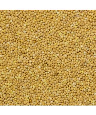 Wholefood Earth Organic Millet Grain 500g | GMO Free | Vegan | High Fibre | Certified Organic - Buy Online on GoSupps.com