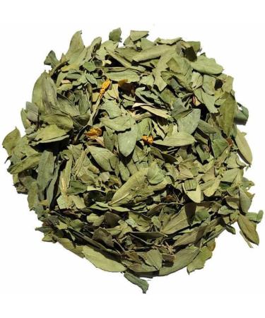  Tazarin LTD 100g Ground Sidr/Jujube Leaves - Jujube Powder - Intense Aroma & Taste - 100% Natural Pure and Additive-Free - Buy Online on GoSupps.com