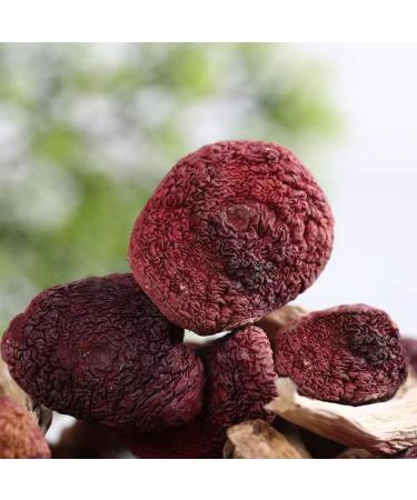 Dried Russula Red Mushroom Honggu (100g) 100g(3.53 Ounce) - Buy Online on GoSupps.com
