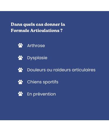 Dog Arthrosis - 60 bites - 11 natural active ingredients (Glucosamine Chondroitin MSM green lipped mussel devil's claw) - Dog Joints - Anti-inflammatory - Dog food supplement - Buy Online on GoSupps.com