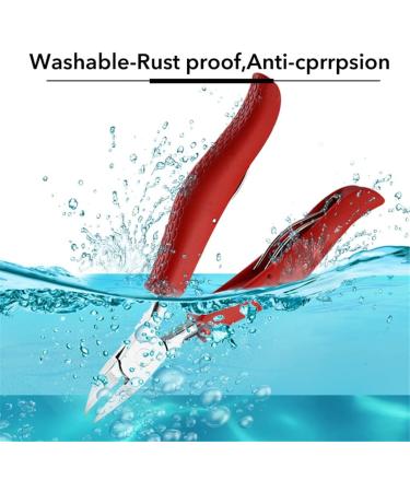 Nail Clippers Ingrown Toenail Correction Nippers Cuticle Cutters Cut Pedicure Manicure Hand Foot Care Tool Trimmer(Rosso) Talla nica Rosso - Buy Online on GoSupps.com