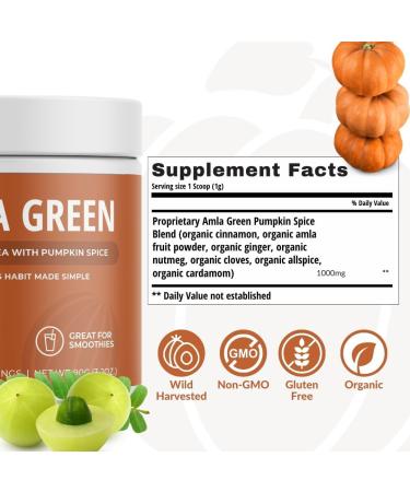 Amla Powder & Green Tea Superfood Supplement Antioxidant Support Made with Elderberries (90 servings) & Pumpkin Spice (30 servings) Organic Vegan - Buy Online on GoSupps.com