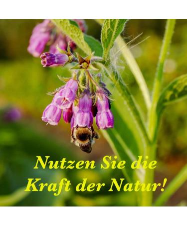 Herbnaturalia Beinwell Mouthwash Concentrate (100ml) - Xylitol & Mint Oil for 500ml Premium Oral Care - Buy Online on GoSupps.com