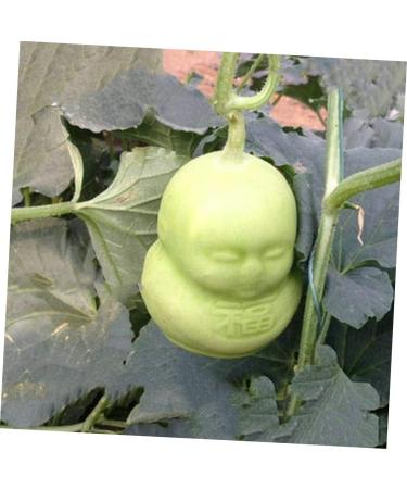 SEWOART Peach Mold 2pcs Vegetable Shaping Mold Multifunction Grow Melons Watermelon Mold - Buy Online on GoSupps.com