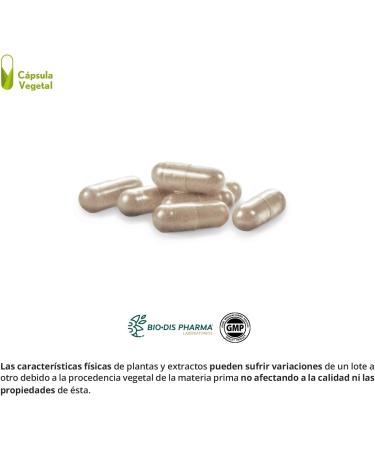 Nature Ess Centella Asiatica Complex 2500 Mg - 60 Vegan Capsules for Skin Health & Healing | International Shipping Available - Buy Online on GoSupps.com