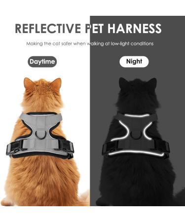 Breakproof Cat Leash Set with Adjustable Soft Vest & Reflective Stripes | Gray XS Cat Dishes for Small Kittens - Buy Online on GoSupps.com
