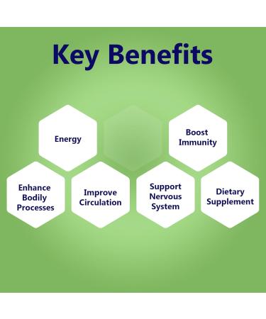 Nerve Support Oral Dissolvable Film N1 by NerveSpa - Improve Flow Build Immunity Support the Nervous System 10 Films/box - Boost energy and enhance bodily processes. Nerve and Neuropathy - Buy Online on GoSupps.com