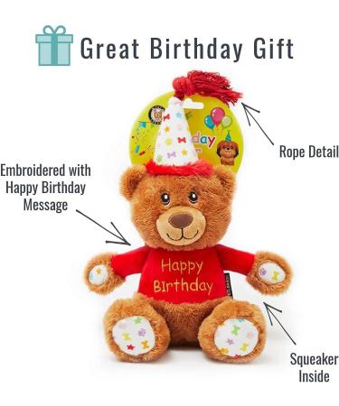 Dog Birthday Party Set - 6-Piece Happy Bday Celebration Pack with Toys, Crown, Party Hat, and Bandana (Large) - Buy Online on GoSupps.com