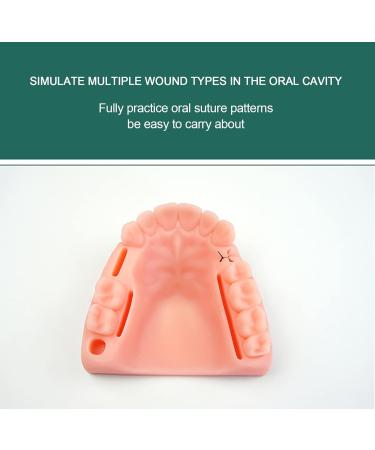 Lmeil 2 Dental Training Sets - Oral Practice Kits for Dental Students | Wound Cutting & Seam Exercises - Buy Online on GoSupps.com