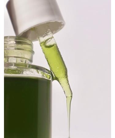 Blue Tansy & Berry Hydrating Serum - Clean Beauty Nourishing Face Serum with Rosehip Oil - Made in USA Cruelty Free Paraben Free - Buy Online on GoSupps.com