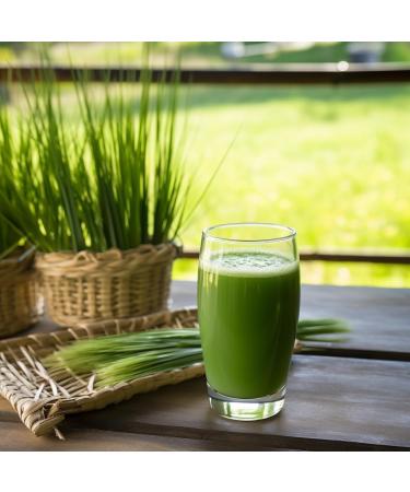 Organic Barley Grass Juice Powder by Nutritionn - 250 Grams - 100% Pure Premium Natural Whole Food Supplement - Buy Online on GoSupps.com