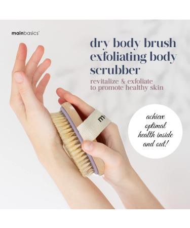 MainBasics Dry Body Brush - Exfoliating Body Scrubber with Natural Bristles for Smooth Skin, Improved Blood Circulation, Cellulite Treatment, and Lymphatic Drainage - Buy Online on GoSupps.com