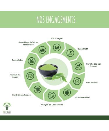 Matcha Tea Powder - Powerful Antioxidant - Japanese Premium Quality - Green Food Coloring - Kitchen and Infusion - Made in J - Buy Online on GoSupps.com