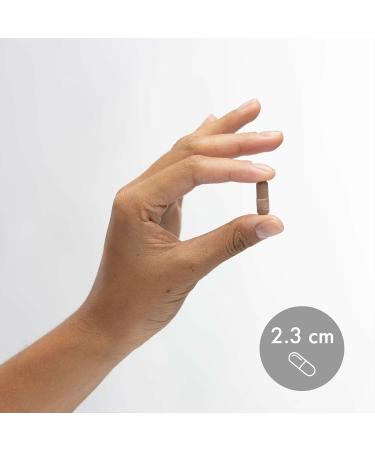 Dr. Mercola Organic Fermented Beets - Nitric Oxide Support - USDA Organic, Non-GMO, Gluten-Free & Soy-Free - 60 Capsules - Buy Online on GoSupps.com