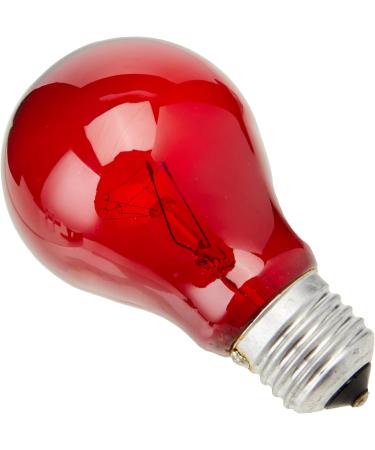 Zoo Med NR-25 Nightlight Reptile Bulb 25W Red - Enhance Your Reptile's Habitat with a Gentle Glow - Buy Online on GoSupps.com