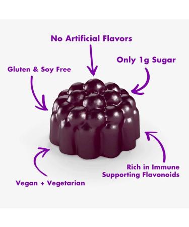 Sambucol Black Elderberry Gummies - 30 Count | Immune Support & Antioxidants - Buy Online on GoSupps.com