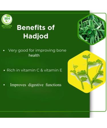 Morsan Healthcare Hadjod (Cissus Quadrangularis) Capsules | 500mg | Pack of 60 x 4 | Ayurvedic Herbal Supplement | Vegan Gluten-Free GMP Certified | Plant-Based Wellness Support - Buy Online on GoSupps.com