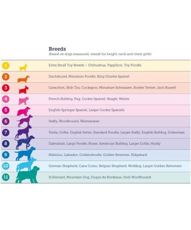 Doodlebone Originals Sapphire 1-2 Dog Harness - Comfortable and Stylish - Buy Online on GoSupps.com