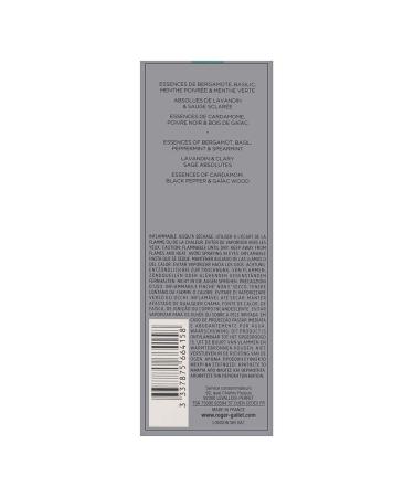 ROGER & GALLET | L'Homme Menthe Body Spray for Men | Men's Fragrances | Eau De Toilette 6.6 oz Tube - Buy Online on GoSupps.com