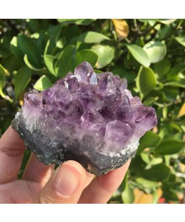 Specimen 142g Natural Dream Amethyst Quartz Crystal Cluster Specimen - Buy Online on GoSupps.com