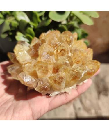 Natural Crystal Rough Natural Raw Citrine Quartz Stone Crystal Cluster Yellow Stones Specimen Home Decoration (Size : 400-500g)