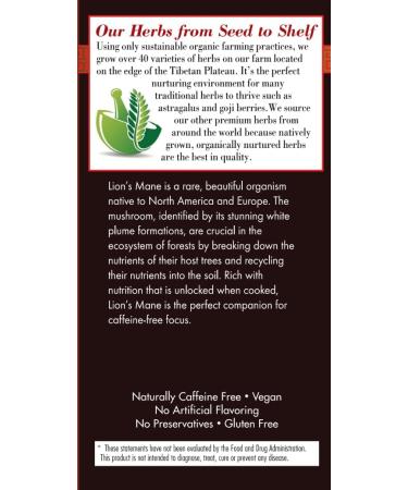 Bravo Tea Lion's Mane Mushroom Herbal Tea Caffeine Free 20 Tea Bags 6 Count 20 Count (Pack of 6) - Buy Online on GoSupps.com