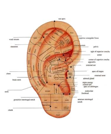 Buy Ear Probe for Reflex Zone Massage | Automatic Ear Detection Pen & Acupressure Accessories - Diagnose Health Issues - Buy Online on GoSupps.com