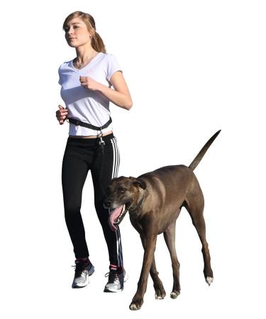 Kerbl 81181 Jogging Leash Active with Hip Belt - Ideal for Hands-Free Dog Exercise | International Shipping Available - Buy Online on GoSupps.com