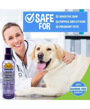 Waterless Dog Shampoo | Natural Dry Shampoo for Dogs & Cats | Vet Approved - Lavender 8oz - Buy Online on GoSupps.com