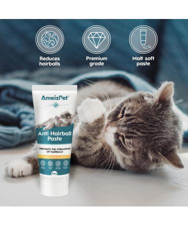 AmeizPet Anti-Hairball Paste for Cats Malt Paste for Cats - Food Supplement - for Long and Short Haired Cats with Taurine and Cheese 2 pcs x 100g (3.52 Oz) - Buy Online on GoSupps.com