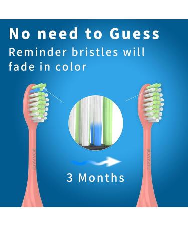 Premium Sonicare Replacement Heads | Whitening Bristles | HY1100 & HY1200 | Miami Coral - Buy Online on GoSupps.com