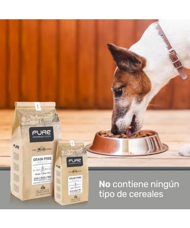 Avantis Pet Pure Grain Free Adult Dog Food for Adult Dogs of All Breeds 2 kg 100% complete and balanced food with Chicken and without cereals for dogs suffering from intolerance and - Buy Online on GoSupps.com