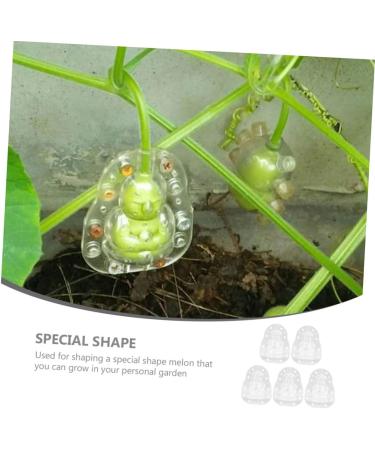 Yardenfun 5pcs Vegetable Ginseng Fruit for Garden Fruit Vegetable Small Fruit Gourd - Buy Online on GoSupps.com