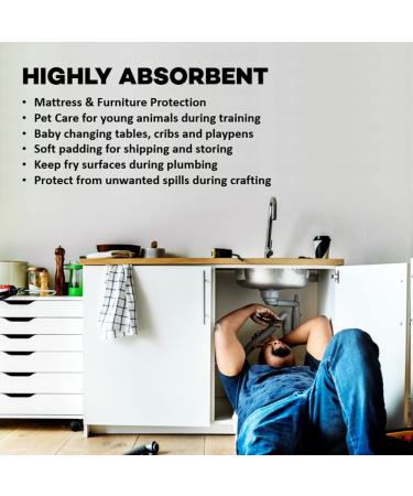 Dealmed Disposable Underpads 24x17 - 100 Count, Blue, Non-Sterile 2-Ply Tissue Fill | Standard Absorbency for Pet Pads & Furniture Protection - Buy Online on GoSupps.com