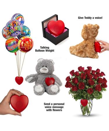 Voice Recordable Heart Button - 2 Minute Talking Plush Toy for Personalized Memory Bear or Baby Heartbeat Keepsake (Red) - Buy Online on GoSupps.com