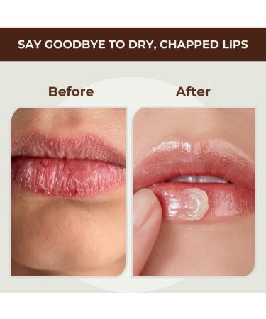 RaGaNaturals Natural Chocolate Lip Balm - Original Beeswax Shea Butter Jojoba Oil Vitamin E - All Day Hydration for Dry & Cracked Lips - Stocking Stuffers & Christmas Gift -Handmade in USA (4 Pack) - Buy Online on GoSupps.com