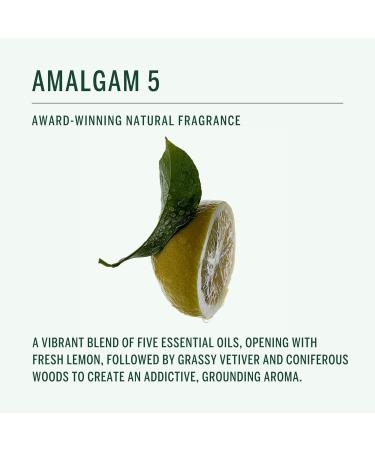 Corpus - Amalgam 5 Aromatic Hand Wash with Argan Oil + Vitamin E | Cleanse Soften Smooth Refresh | Vegan Plant-Based Cruelty-Free Non-Toxic Made In The USA (10 fl oz) Amalgam 5 10 Fl Oz (Pack of 1) - Buy Online on GoSupps.com