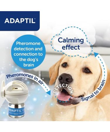 ADAPTIL Calm 30 day Refill helps dog cope with behavioural issues and life challenges - 48 ml (Pack of 1) 30 day refill pack - Buy Online on GoSupps.com