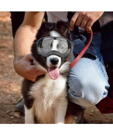 Dog Sunglasses for Large Dogs - UV Protection & Wide Field Vision | Adjustable Straps for Snow & Wind - Buy Online on GoSupps.com