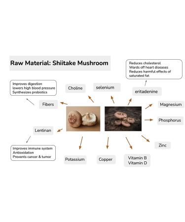 MushGarden Shiitake Mushroom Chips - Spicy, 3.17 oz (Pack of 1) - Buy Online on GoSupps.com