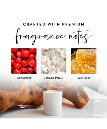 Luxury Highly Scented Soy Candle - Hand Poured Non-Toxic Aromatherapy Relaxation - Currant Noir 8.5 oz - 40 Hour Clean Burn - Buy Online on GoSupps.com