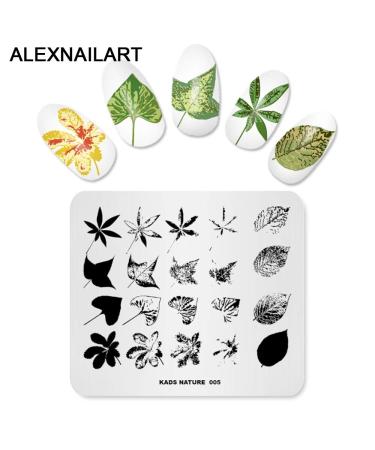 Nail Stamping Plate Set - 4 Piece Feather Flower Leaves & Butterfly Templates | DIY Nail Art Tool & Stamper | International Shipping - Buy Online on GoSupps.com