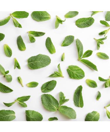 Menthol Crystals - 100% Pure Mentha Arvensis USP Food Grade - Buy Online on GoSupps.com