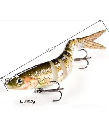 Premium Rubber Fish Bait Set for Trout & Bass Artificial Fishing Bait for Freshwater & Saltwater Perfect Fishing Gifts for Men - Buy Online on GoSupps.com