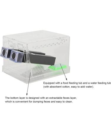 Cricket Keeper with Tubes Durable Acrylic Cricket Feeding Tank Box Portable Easy To Clean Cricket Care Kit for Observation Insect Breeding(L) - Buy Online on GoSupps.com