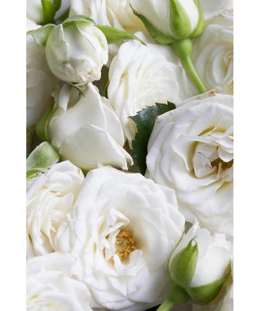 KORRES White Blossom Smoothing Body Lotion - Buy Online on GoSupps.com