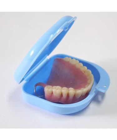 Buy Dental Prosthesis Box - Durable Storage for Dentists | 2-Piece Cyan & Blue Set - Buy Online on GoSupps.com