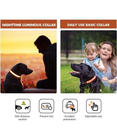 MASBRILL Dog Halle Band LED Neck Light - USB Charging Waterproof Safety Collar for Small Medium Dogs - Adjustable with 3 Lighting Modes - Orange M (38-50cm) - Buy Online on GoSupps.com
